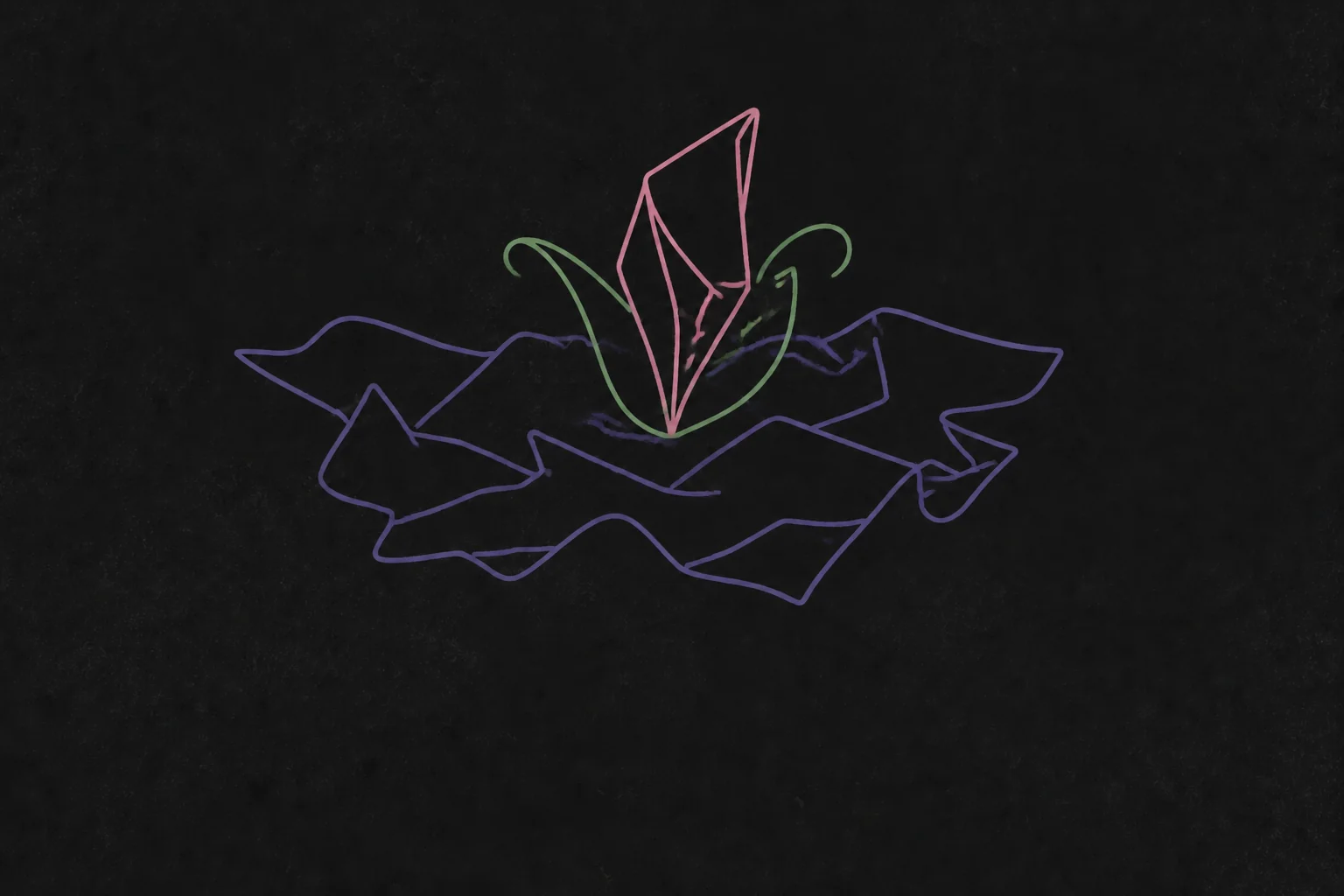 终会绽放的花期